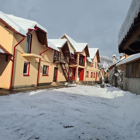 Vila Vladut Zărneşti Exteriér fotografie