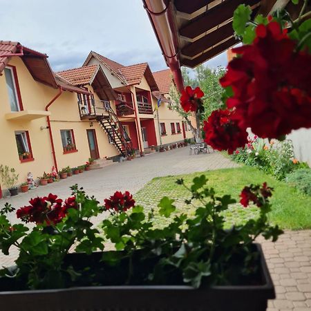 Vila Vladut Zărneşti Exteriér fotografie