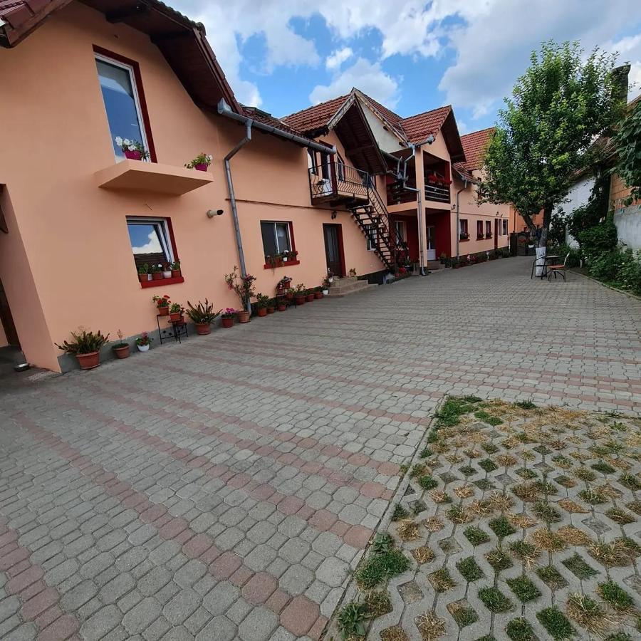 Vila Vladut Zărneşti Exteriér fotografie