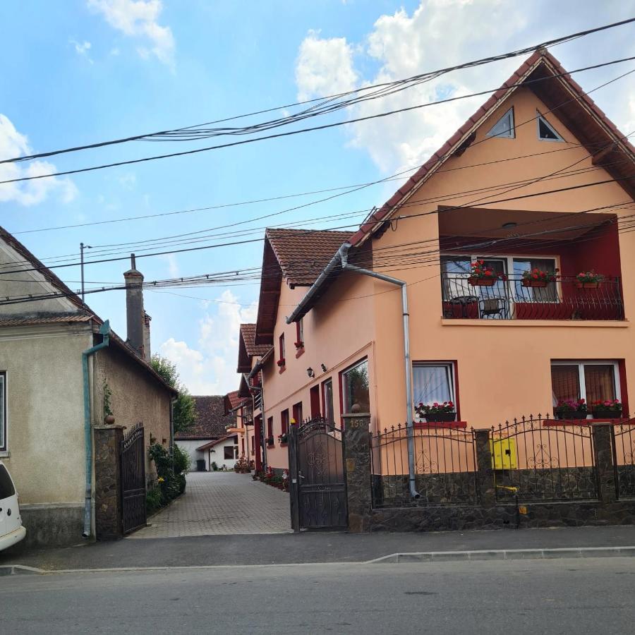 Vila Vladut Zărneşti Exteriér fotografie
