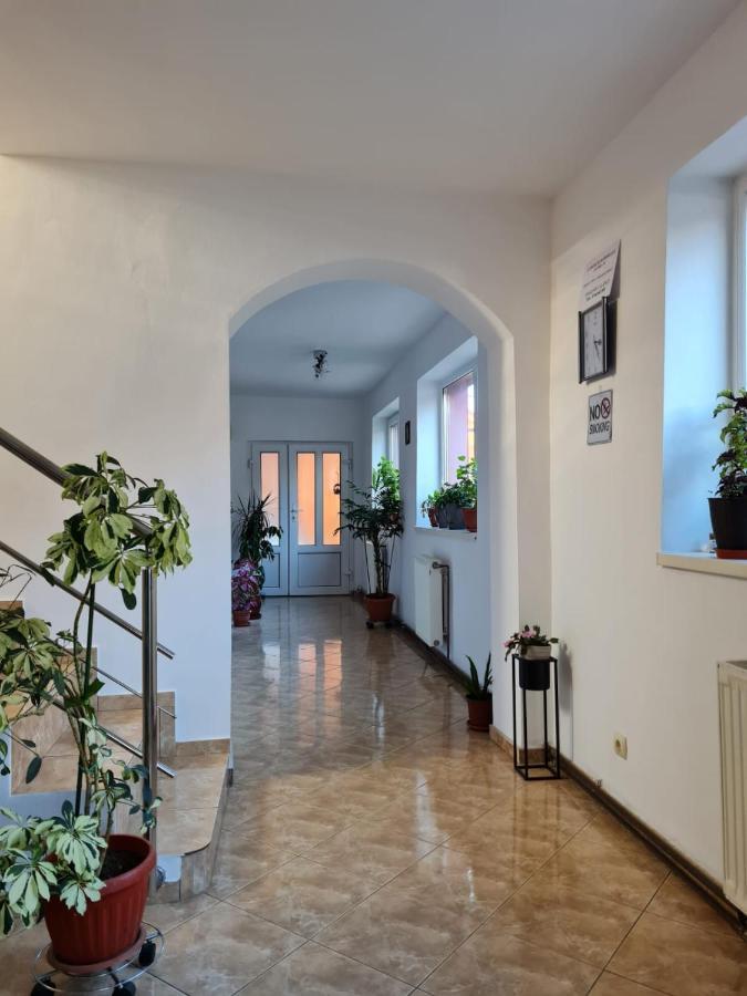 Vila Vladut Zărneşti Exteriér fotografie