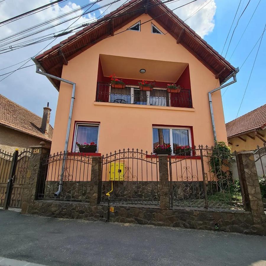 Vila Vladut Zărneşti Exteriér fotografie