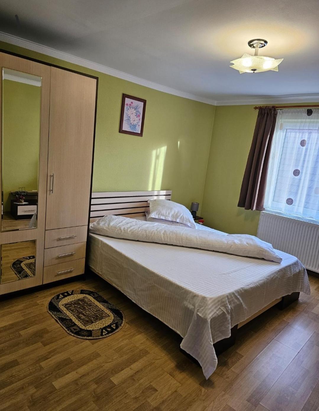 Vila Vladut Zărneşti Exteriér fotografie