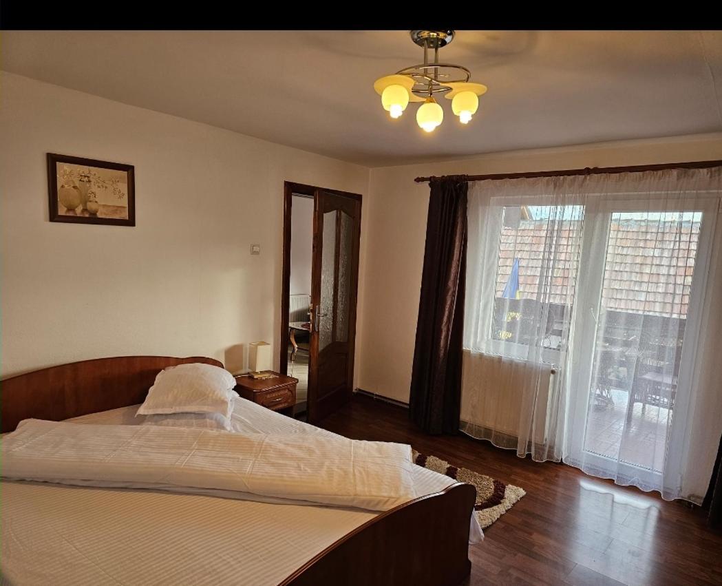 Vila Vladut Zărneşti Exteriér fotografie