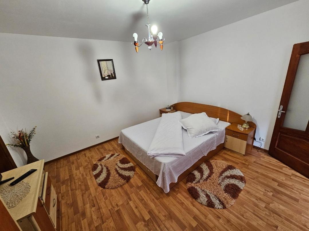 Vila Vladut Zărneşti Exteriér fotografie