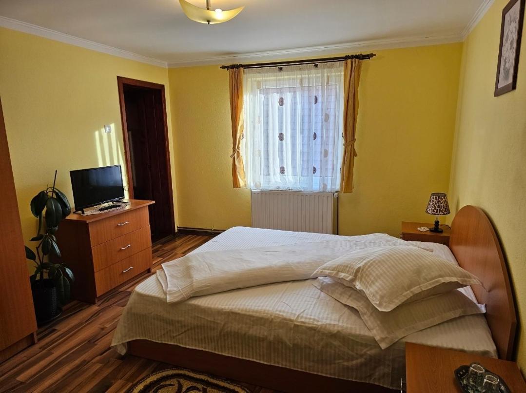 Vila Vladut Zărneşti Exteriér fotografie