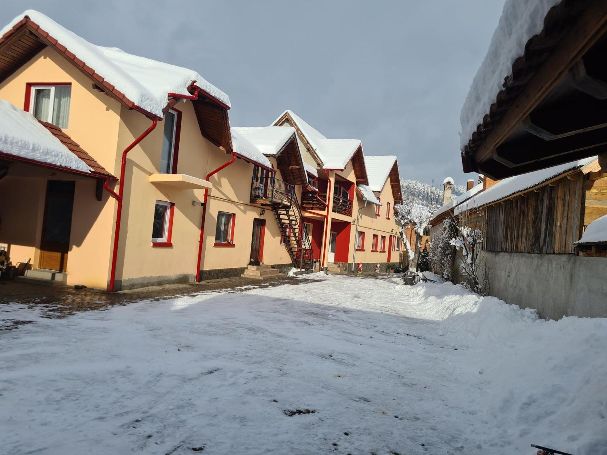 Vila Vladut Zărneşti Exteriér fotografie