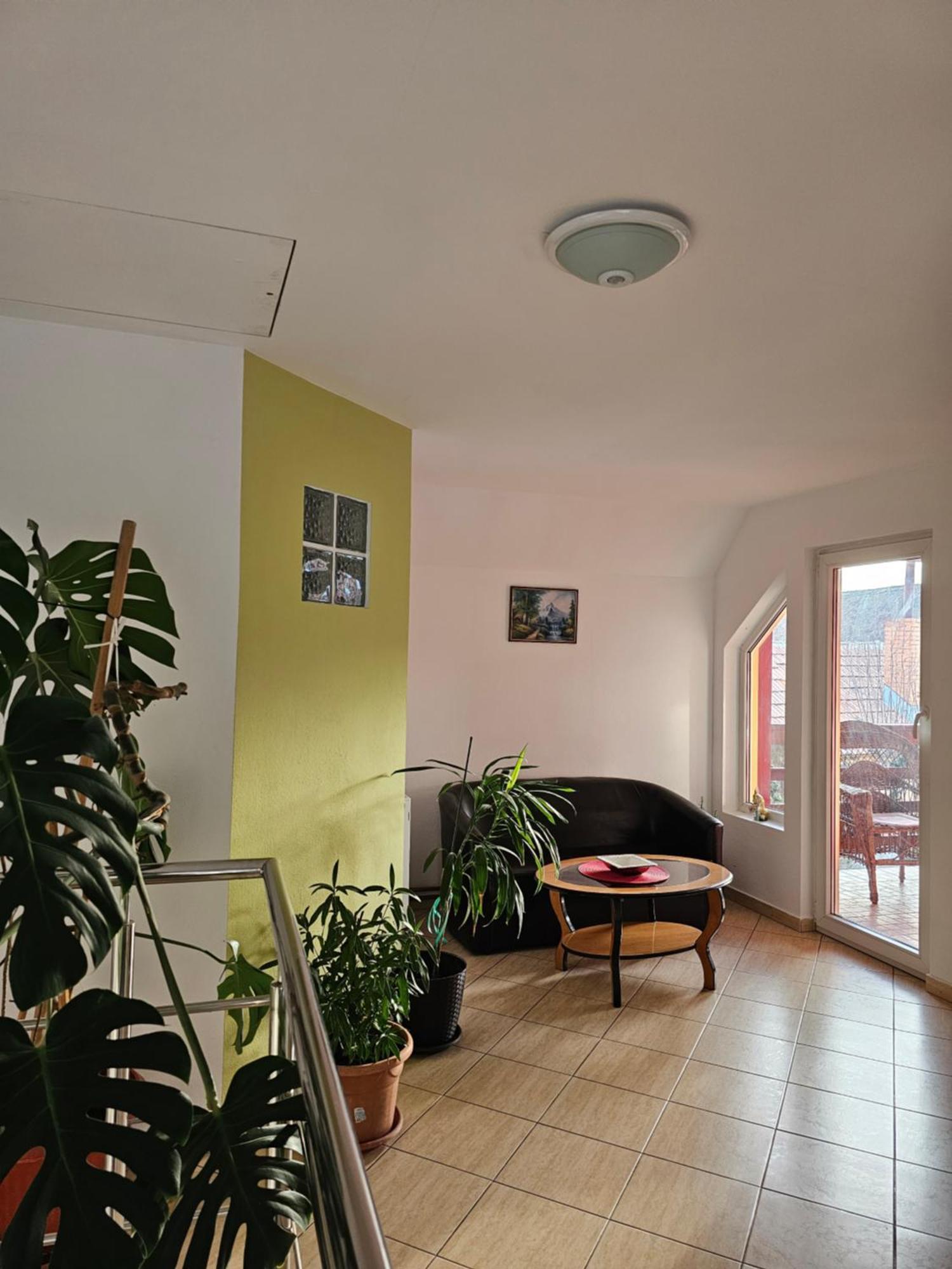 Vila Vladut Zărneşti Exteriér fotografie