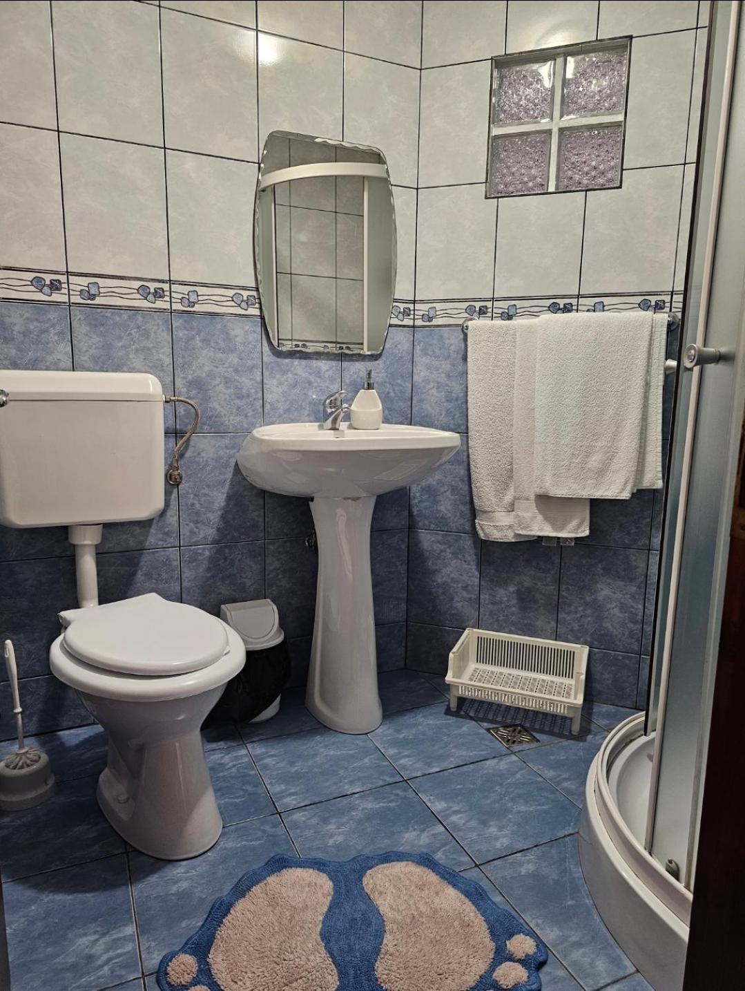Vila Vladut Zărneşti Exteriér fotografie