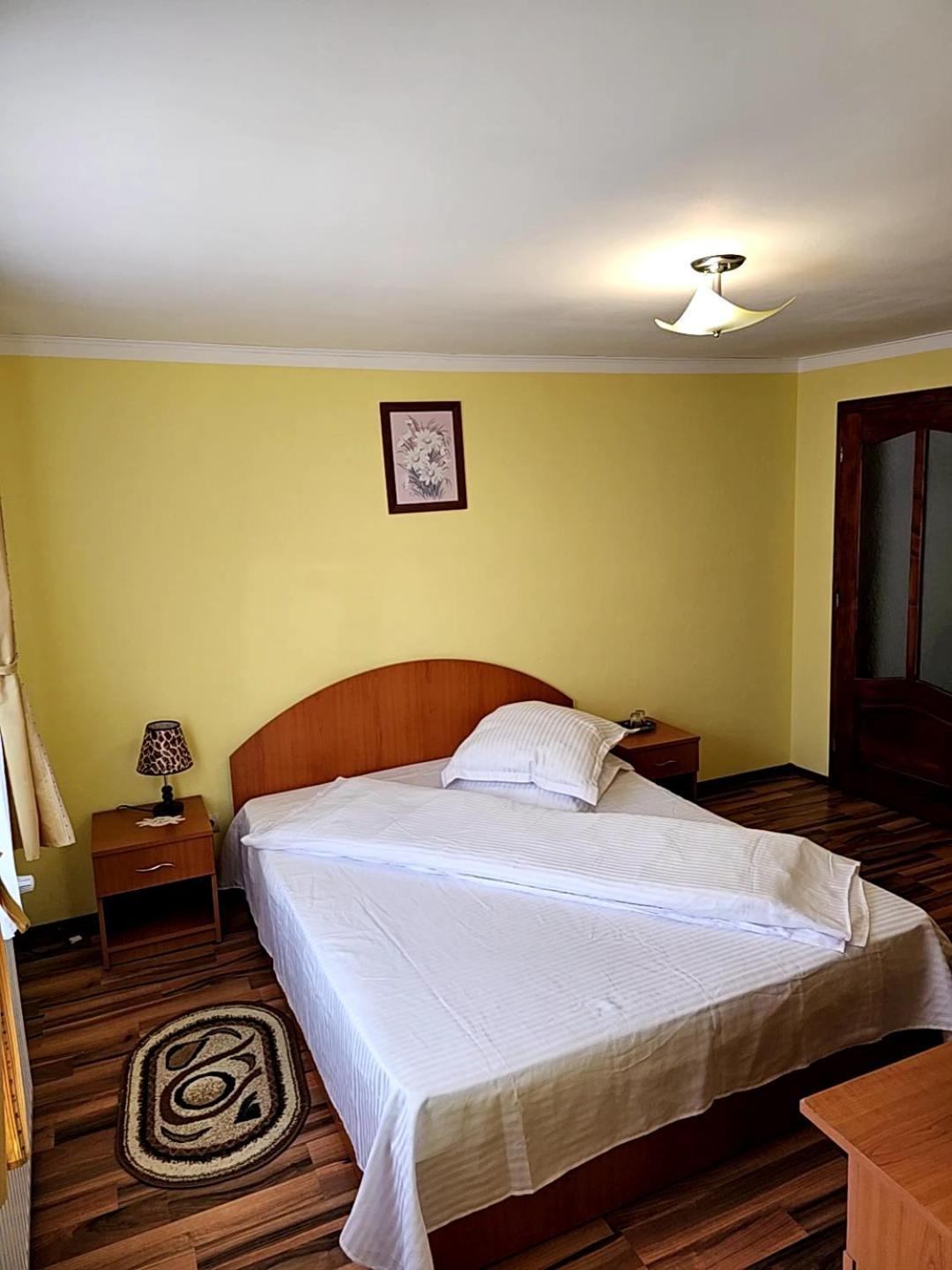 Vila Vladut Zărneşti Exteriér fotografie