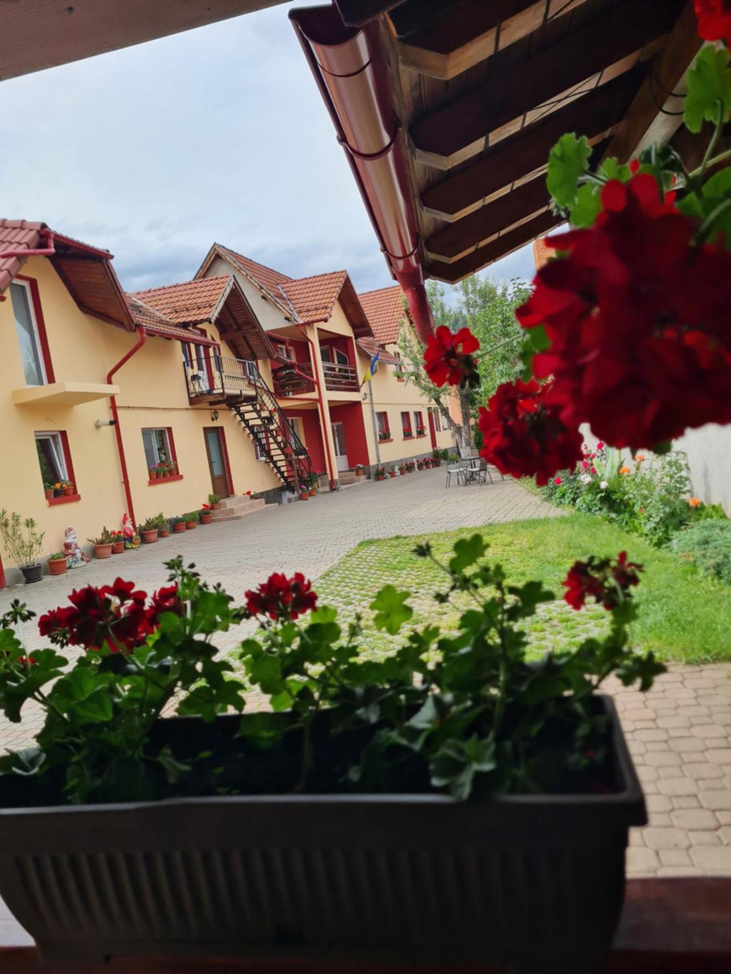 Vila Vladut Zărneşti Exteriér fotografie